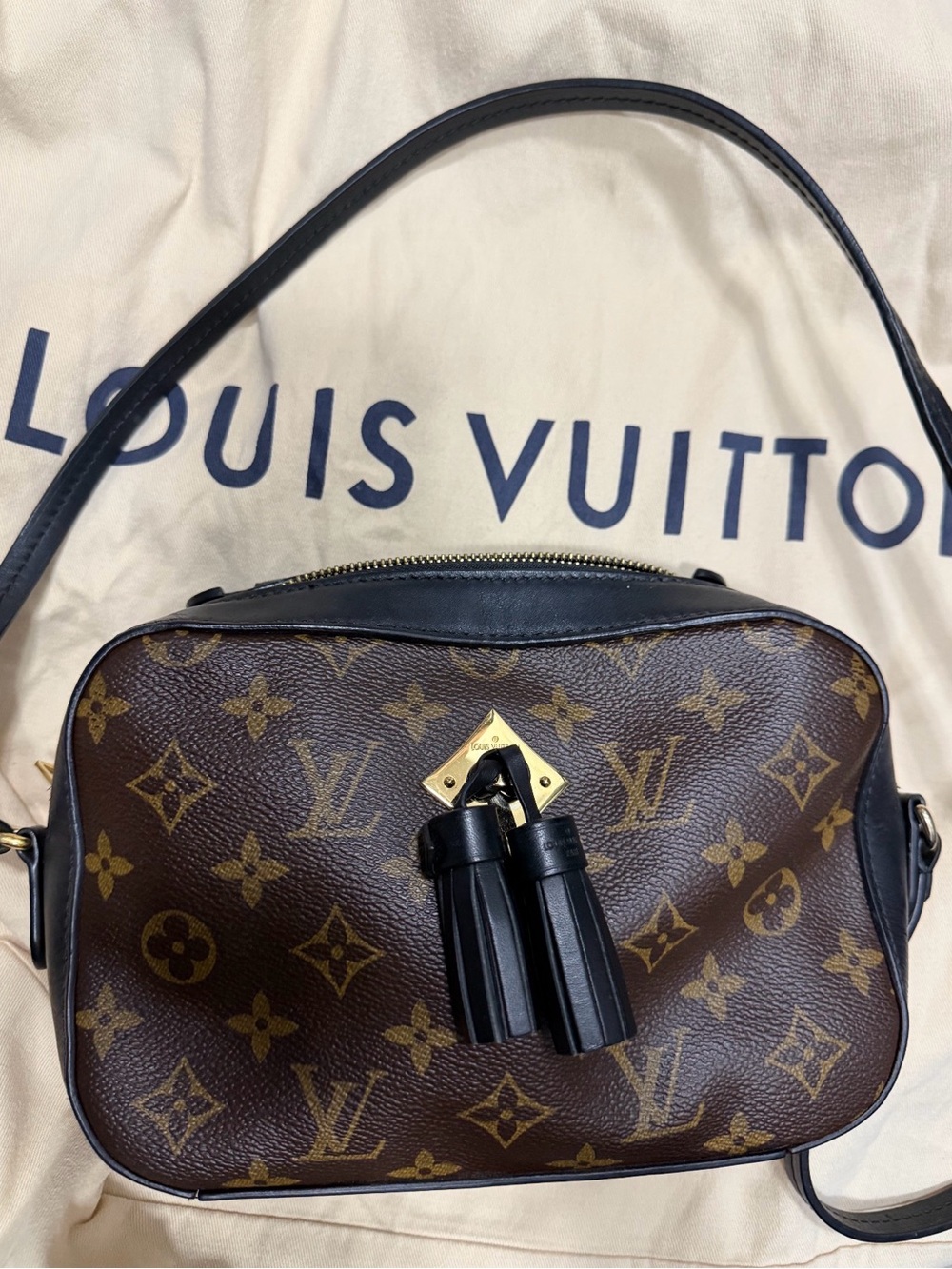 Louis Vuitton LV Monogram Saintonge